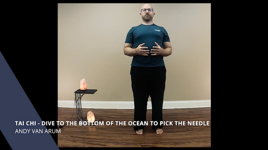 Tai Chi -  Dive To The Bottom Of The Ocean Posture